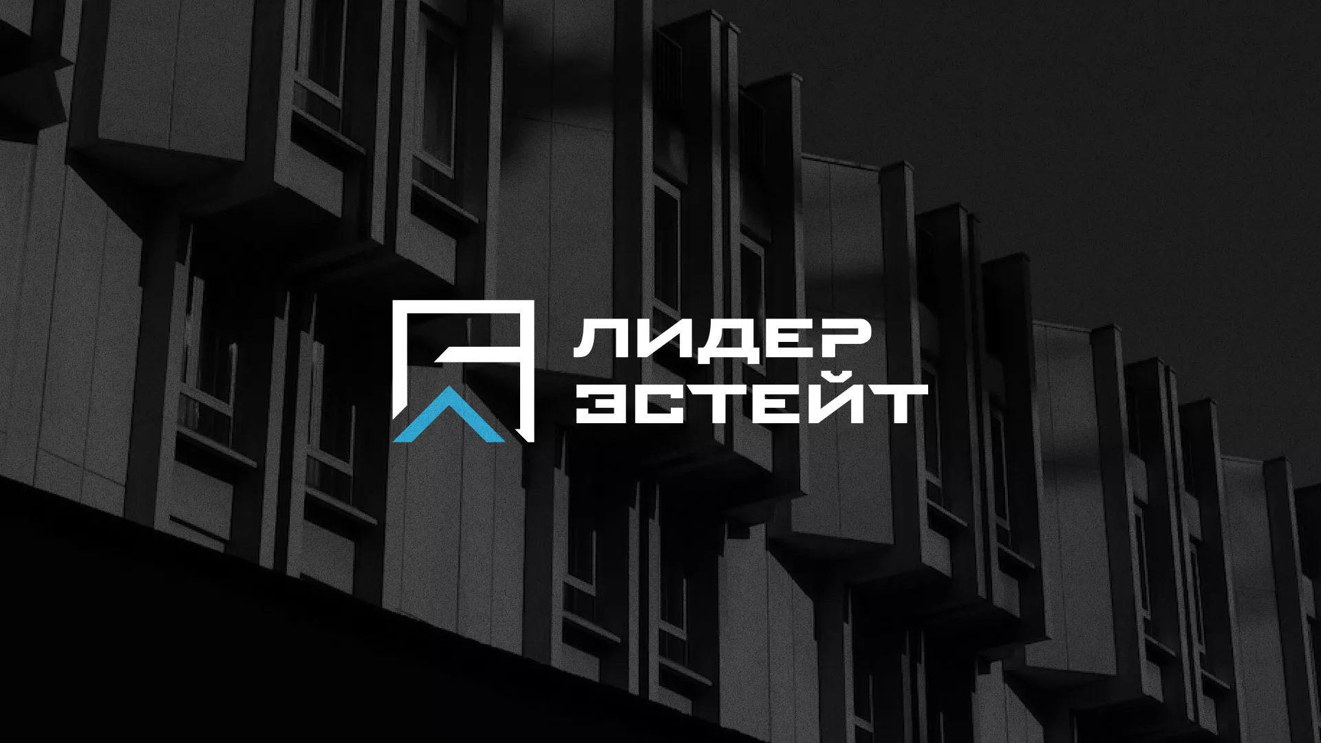 Разработка логотипа агентства недвижимости «Лидер Эстейт» в Петропавловске-Камчатском